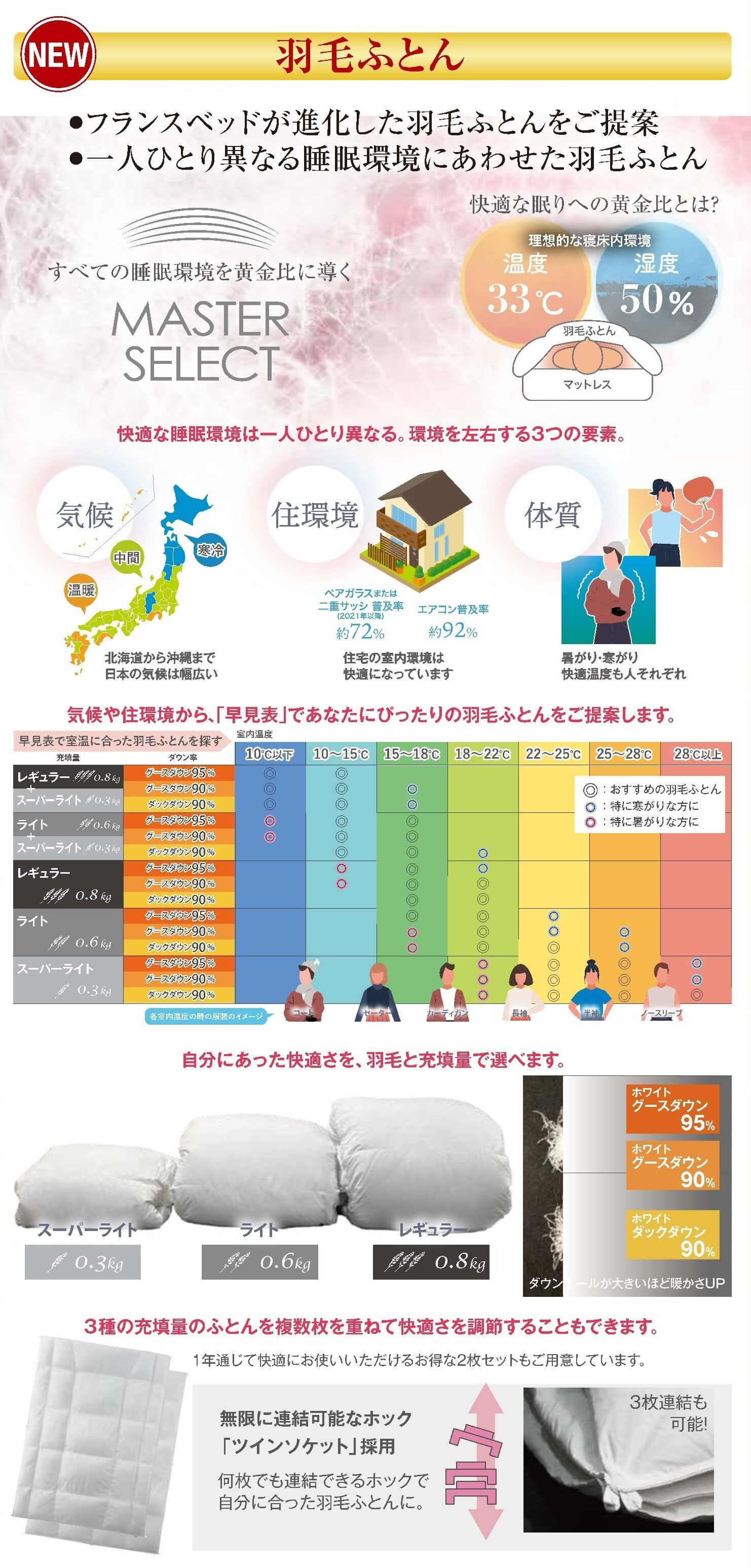 フランスベッド電動ベッド