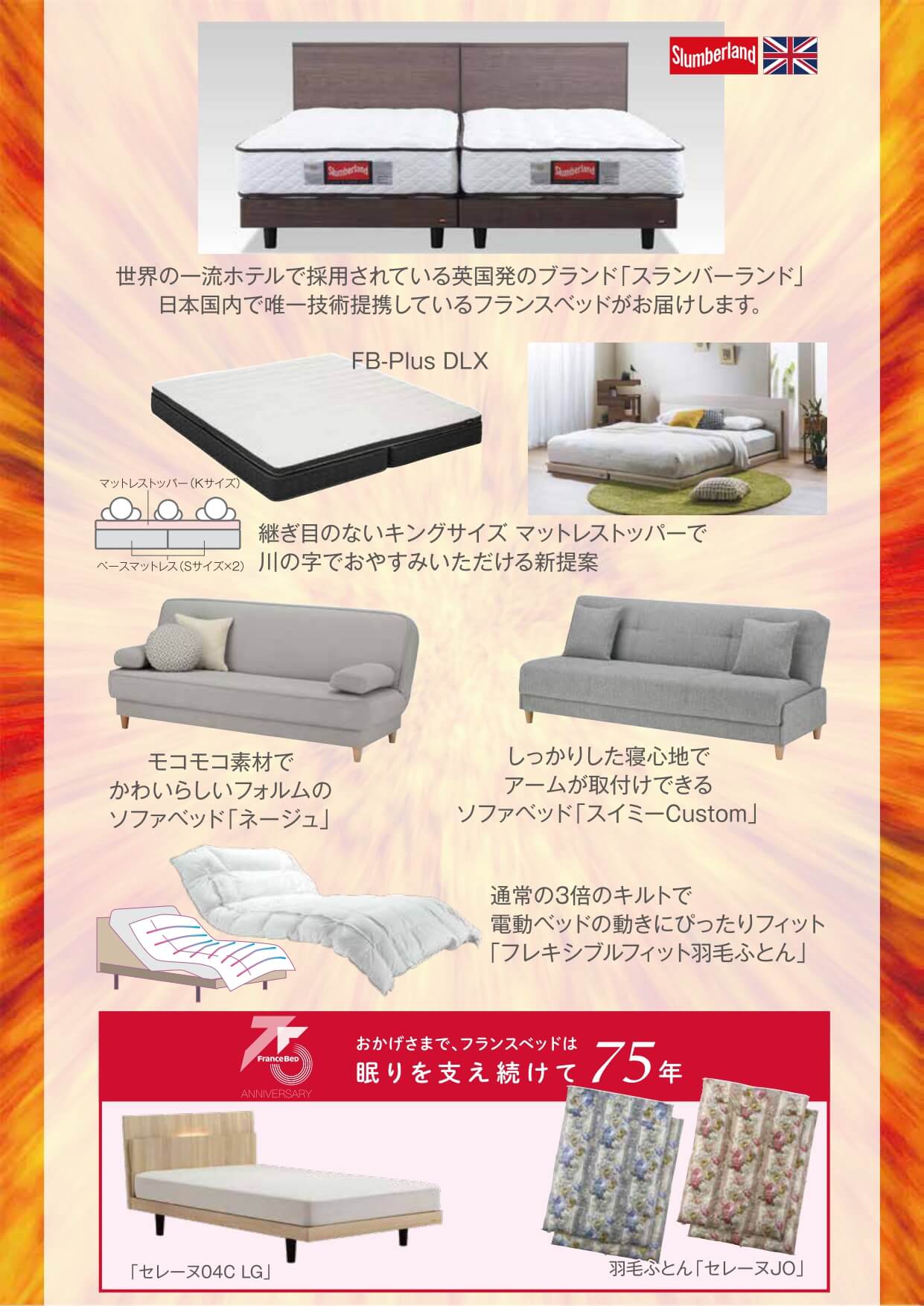 フェアおすすめ情報